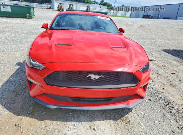 1FA6P8TH8J5120743 2018 FORD MUSTANG Red Вид спереду