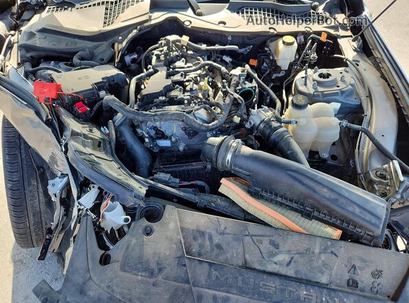 1FA6P8TH8R5111696 2024 FORD MUSTANG Gray Սալոնի հետևի տեսք