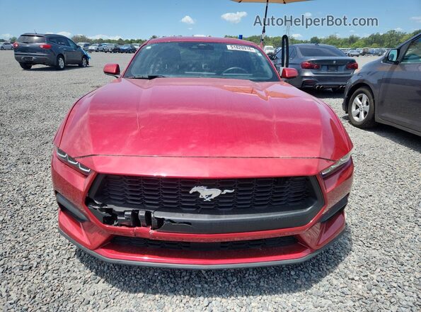 1FA6P8TH8R5130149 2024 FORD MUSTANG Red Vista frontal