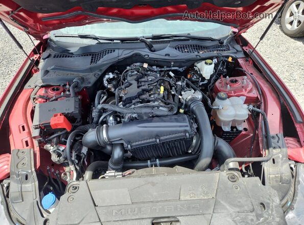 1FA6P8TH8R5130149 2024 FORD MUSTANG Red Vista interior trasera