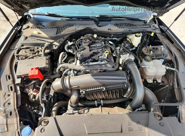 1FA6P8TH8R5138686 2024 FORD MUSTANG Black Vista interior trasera