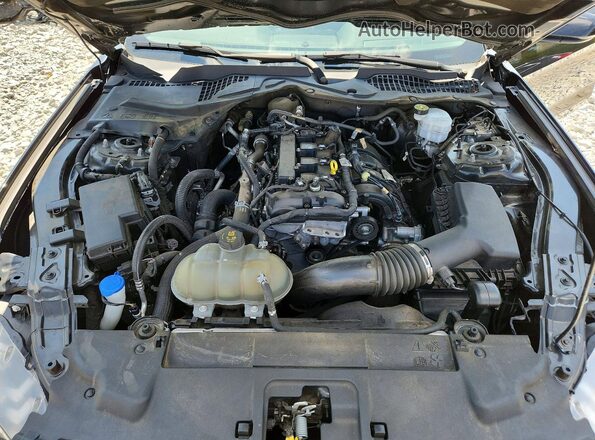 1FA6P8TH9M5113501 2021 FORD MUSTANG Черный Вид задней части салона