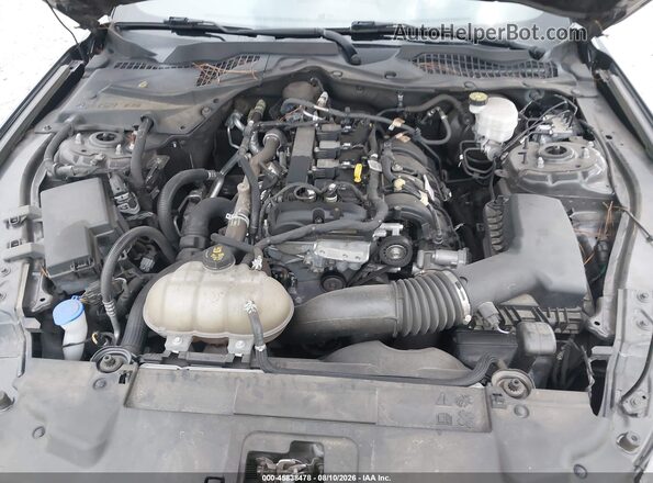 1FA6P8TH9N5113564 2022 FORD MUSTANG Black Widok z tyłu