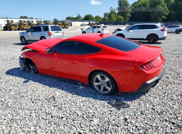 1FA6P8TH9R5111898 2024 FORD MUSTANG Red Rear left