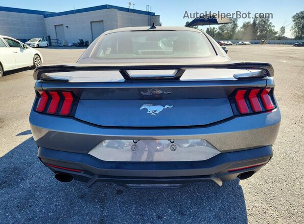 1FA6P8TH9R5116809 2024 FORD MUSTANG Gray Հետևի տեսք