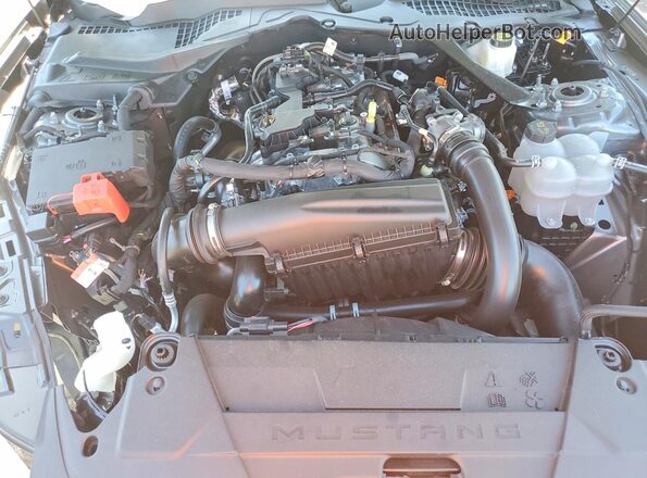 1FA6P8TH9S5129324 2025 FORD MUSTANG Gray Vista interior trasera