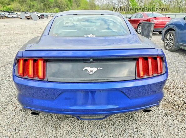 1FA6P8THXG5312285 2016 FORD MUSTANG Blue Widok z tyłu