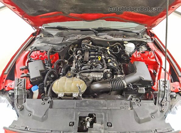 1FA6P8THXL5176024 2020 FORD MUSTANG Red Widok wnętrza z tyłu