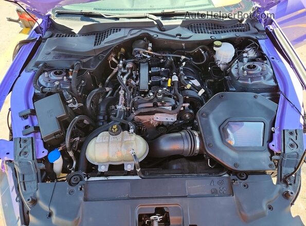 1FA6P8THXM5102927 2021 FORD MUSTANG Purple Rear interior view