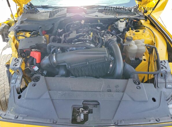1FA6P8THXR5135420 2024 FORD MUSTANG Yellow Вид задньої частини салону