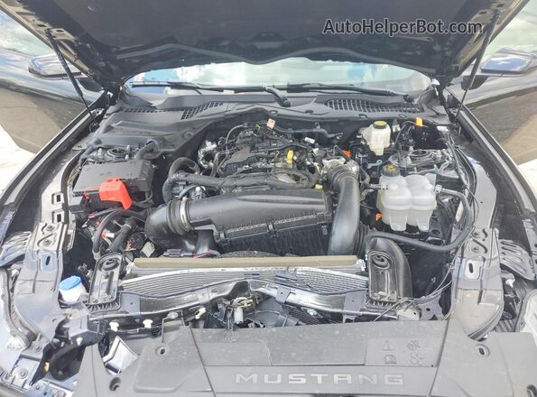 1FA6P8THXS5124181 2025 FORD MUSTANG Black Սալոնի հետևի տեսք