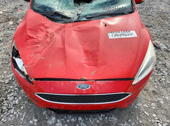 1FADP3F20GL338228 2016 FORD FOCUS Red Սալոնի հետևի տեսք