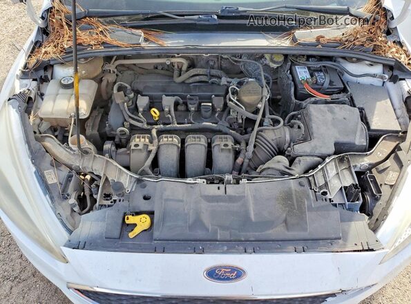 1FADP3F23GL241699 2016 FORD FOCUS White უკანა სალონის ხედი