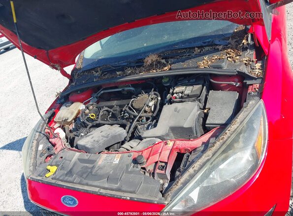 1FADP3F25GL267334 2016 FORD FOCUS Red Вид ззаду