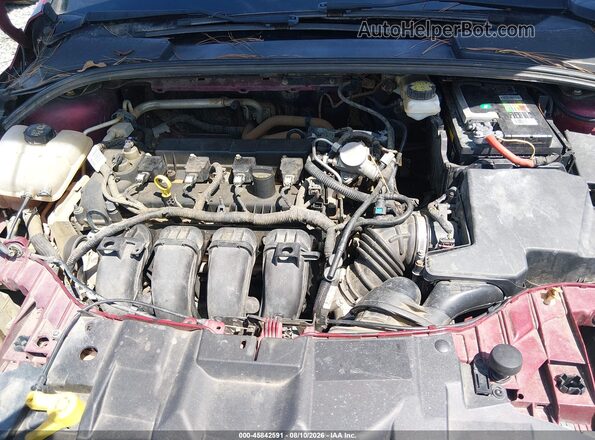 1FADP3F29HL229204 2017 FORD FOCUS Red Widok z tyłu