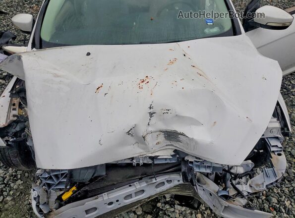 1FADP3K21GL258538 2016 FORD FOCUS White Սալոնի հետևի տեսք