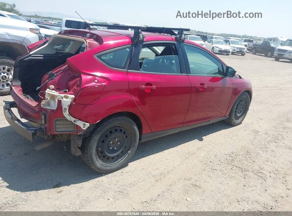 1FADP3K22GL299292 2016 FORD FOCUS Red Հետևի աջ