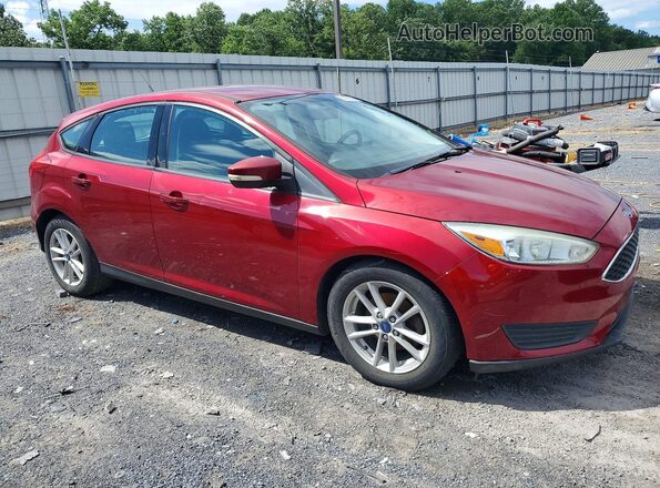 1FADP3K24HL240925 2017 FORD FOCUS Red Front right