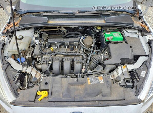1FADP3K25GL247767 2016 FORD FOCUS White უკანა სალონის ხედი