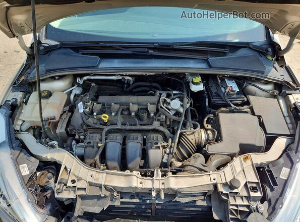 1FADP3K25HL337289 2017 FORD FOCUS Gold Սալոնի հետևի տեսք