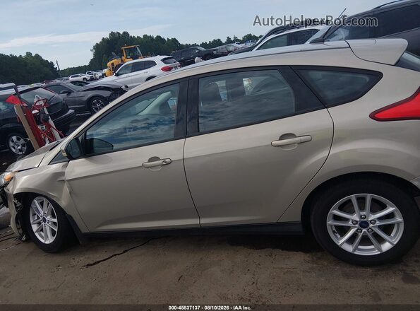 1FADP3K26GL241573 2016 FORD FOCUS Tan Սալոնի 360 աստիճան տեսք