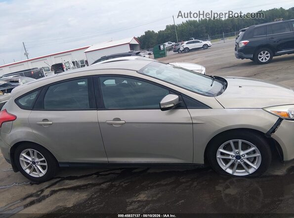 1FADP3K26GL241573 2016 FORD FOCUS Tan Սալոնի հետևի տեսք