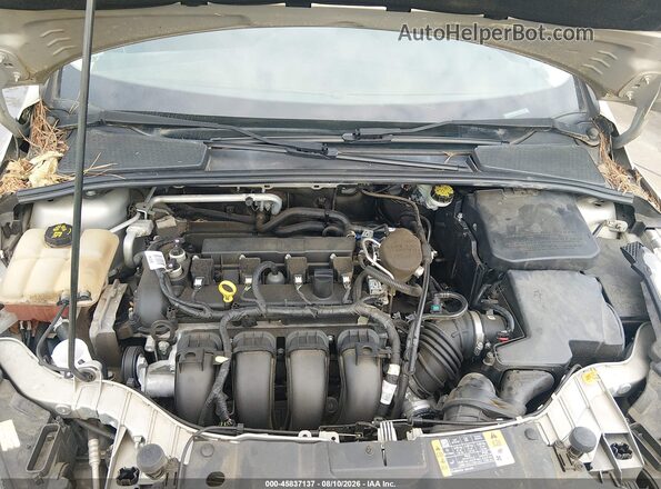 1FADP3K26GL241573 2016 FORD FOCUS Tan Հետևի տեսք