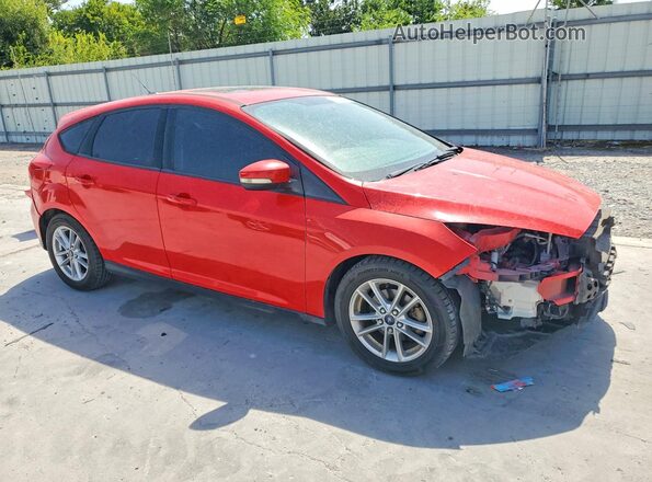 1FADP3K26GL338515 2016 FORD FOCUS Red Przód prawy