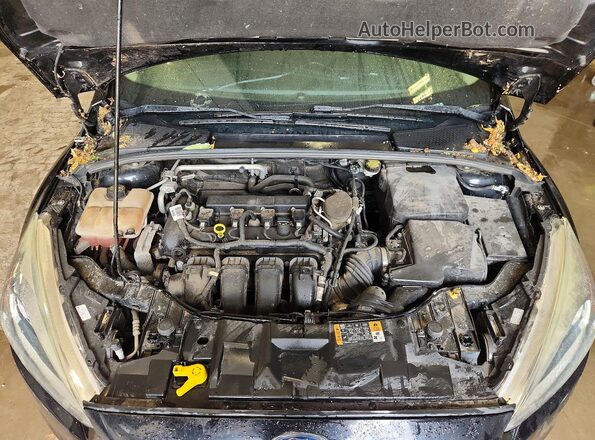 1FADP3K28GL285753 2016 FORD FOCUS Черный Вид задней части салона