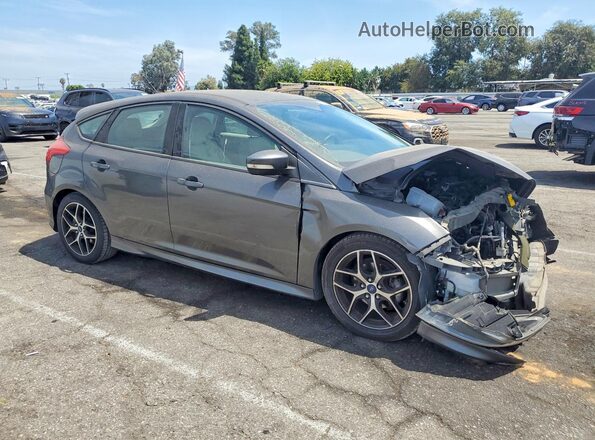 1FADP3K29GL203464 2016 FORD FOCUS Gray Առջևի աջ