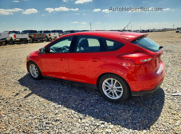 1FADP3K29GL264054 2016 FORD FOCUS Red Tył lewy