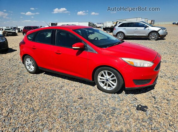1FADP3K29GL264054 2016 FORD FOCUS Red Przód prawy
