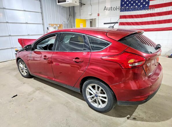 1FADP3K29GL394142 2016 FORD FOCUS Burgundy Задня ліва чверть