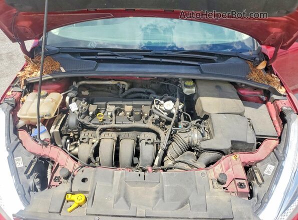 1FADP3K29HL297847 2017 FORD FOCUS Red Սալոնի հետևի տեսք