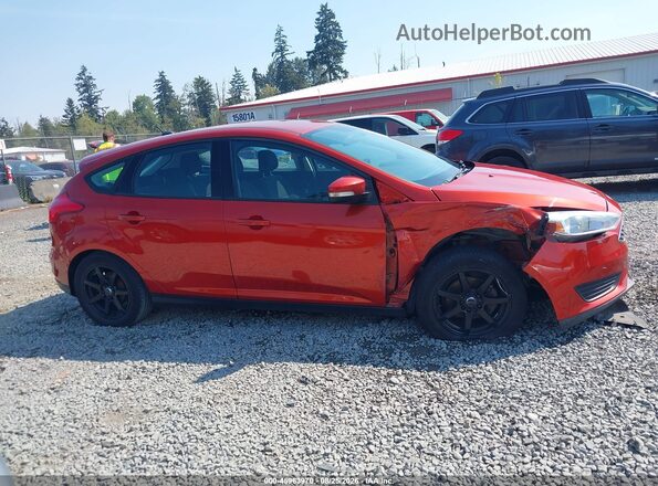 1FADP3K29JL271447 2018 FORD FOCUS Orange უკანა სალონის ხედი
