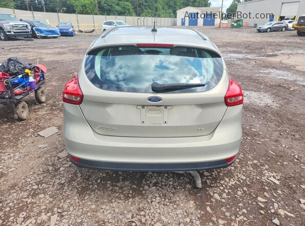 1FADP3K2XGL296379 2016 FORD FOCUS Beige Հետևի տեսք
