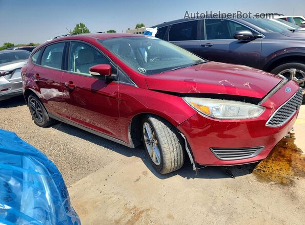 1FADP3K2XHL205614 2017 FORD FOCUS Burgundy წინა მარჯვენა