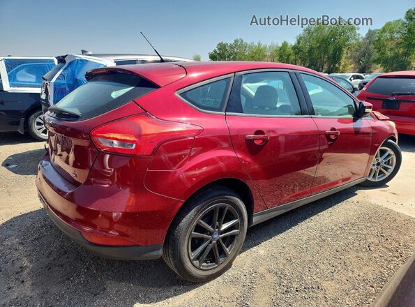1FADP3K2XHL205614 2017 FORD FOCUS Burgundy უკანა მარჯვენა