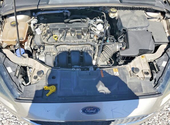 1FADP3M28HL206239 2017 FORD FOCUS Beige Սալոնի հետևի տեսք