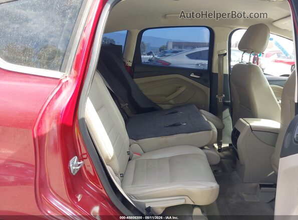 1FADP5CUXGL106124 2016 FORD C-MAX ENERGI Бордовый Вид наклейки с VIN-кодом