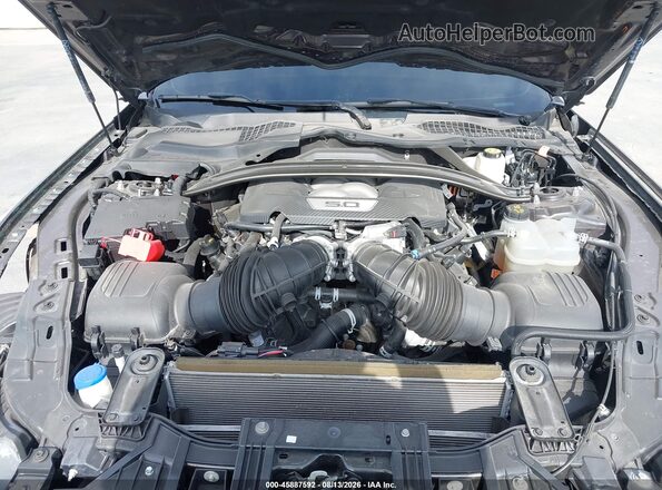 1FAGP8FF3R5103097 2024 FORD MUSTANG Gray Հետևի տեսք