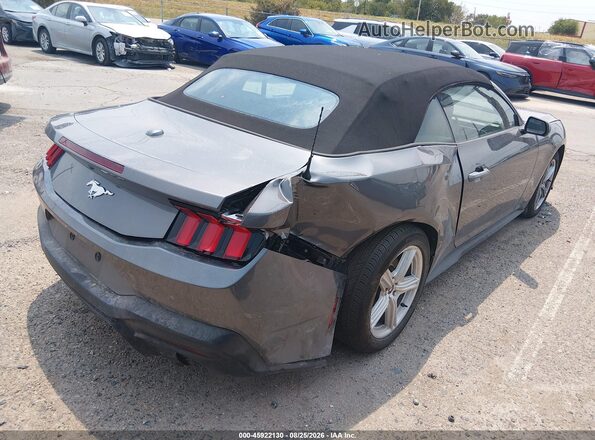 1FAGP8UH2T5117889 2026 FORD MUSTANG Gray Tył prawy