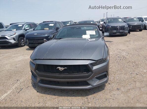 1FAGP8UH2T5117889 2026 FORD MUSTANG Gray Widok wnętrza z tyłu