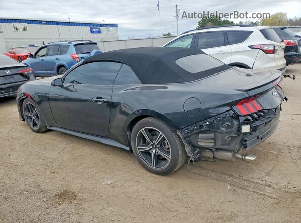 1FAGP8UH4R5127073 2024 FORD MUSTANG Gray Задня ліва чверть