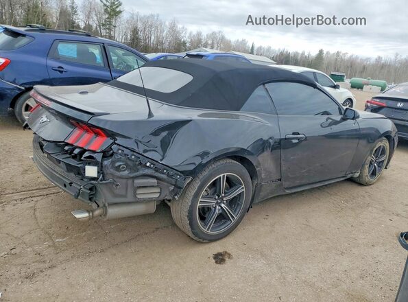 1FAGP8UH4R5127073 2024 FORD MUSTANG Gray Задня права чверть