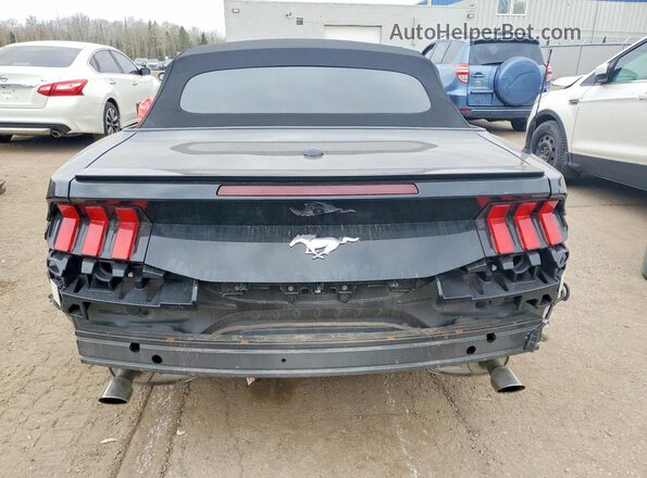 1FAGP8UH4R5127073 2024 FORD MUSTANG Gray Вид ззаду