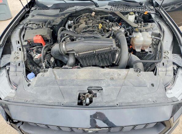 1FAGP8UH4R5127073 2024 FORD MUSTANG Gray Вид задньої частини салону