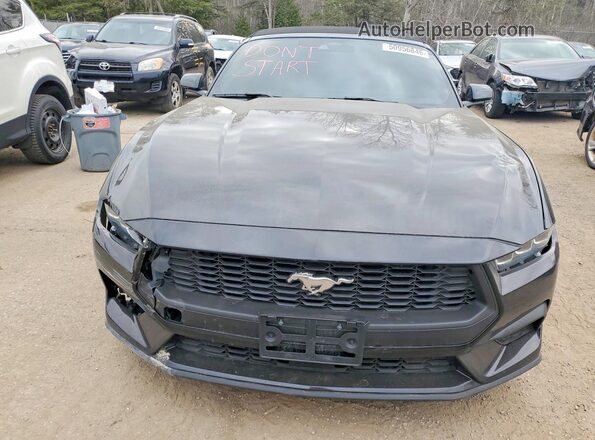 1FAGP8UH4R5127073 2024 FORD MUSTANG Gray Вид спереду