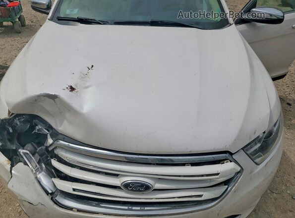 1FAHP2F89KG114571 2019 FORD TAURUS White Սալոնի հետևի տեսք
