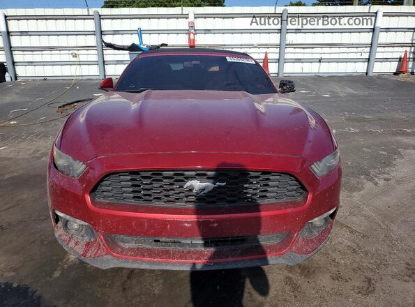 1FATP8EM6H5338834 2017 FORD MUSTANG Red Widok z przodu